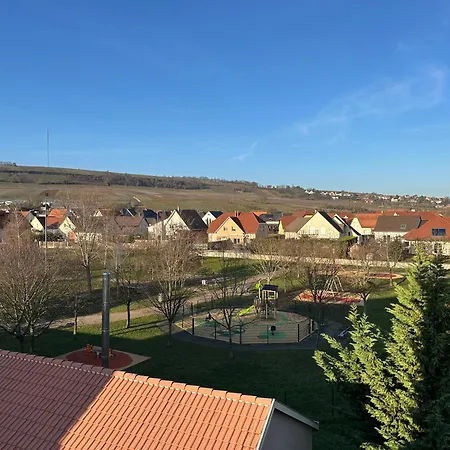 Chaleureux - 20 Min De Strasbourg Lejlighed *