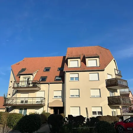 アパート Avec Parking - 20 Min De Strasbourg